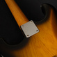 Real Guitars Standard Build S Swamp Ash (2012) Detailphoto 19